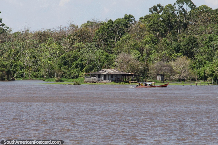 Scenery in the Amazon while traveling by ferry to Obidos. Photo from ...