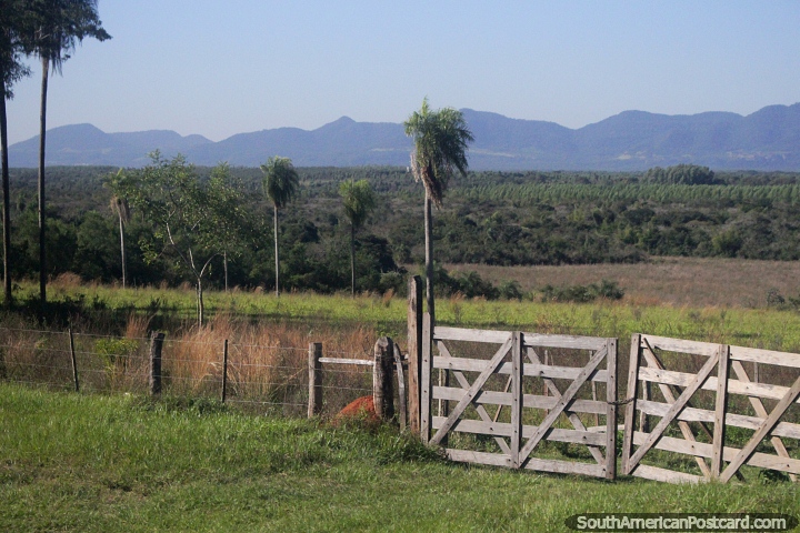 Montanhas distantes, palmeiras, floresta, porto de fazenda e formigueiro, belas paisagens ao norte de Numi. (720x480px). Paraguai, Amrica do Sul.