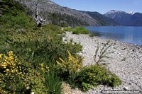 Beautiful lake edge, a nice place to explore and enjoy nature at Alerces National Park, Esquel.