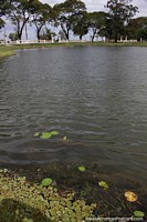 Looking across the lagoon at Bartolome Mitre Park in Concordia.