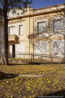 Fallen yellow leaves carpet the ground in front of an antique building in Uberaba.