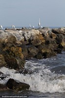 Seabirds and white storks on the rocks at the beach in Santa Marta.