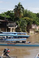 Barcos de pasajeros y palmeras a orillas del ro en La Dorada.