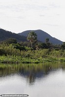 The stillness of nature in the heart of the Pantanal on the Paraguay River, Puerto Carmelo Peralta.