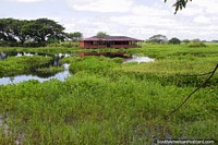 Sheltered platform in the middle of swamplands in Camaguan.